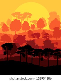 Mystical forest vector background landscape concept