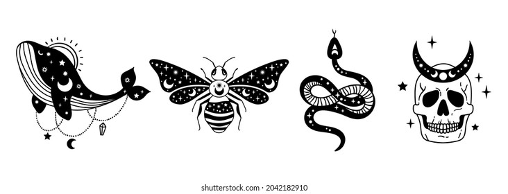 Mystical halloween bundle - celestial snake, skull, whale and bee, moon and stars isolated cliparts, space esoteric stuff, serpent, skeleton, insect black and white outline vector illustration