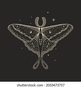 mystical illustration of a butterfly or moth. mysterious night in a secret garden. magic aesthetics, wildlife, retro vintage engraving style