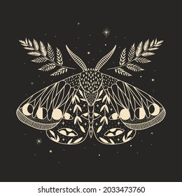 mystical illustration of a butterfly or moth. mysterious night in a secret garden. magic aesthetics, wildlife, retro vintage engraving style