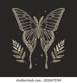 mystical illustration of a butterfly or moth. mysterious night in a secret garden. magic aesthetics, wildlife, retro vintage engraving style