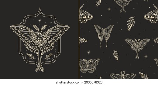 mystical illustration of a butterfly or moth. mysterious night in a secret garden. magic aesthetics, wildlife, retro vintage engraving style