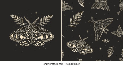 mystical illustration of a butterfly or moth. mysterious night in a secret garden. magic aesthetics, wildlife, retro vintage engraving style