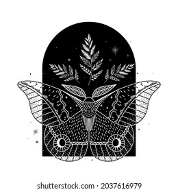 mystical illustration of a butterfly or moth. mysterious night in a secret garden. magic aesthetics, wildlife, retro vintage engraving style