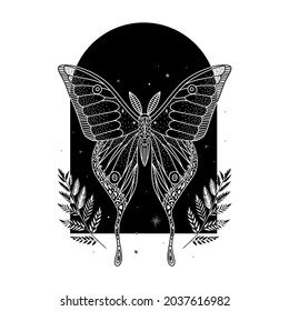 mystical illustration of a butterfly or moth. mysterious night in a secret garden. magic aesthetics, wildlife, retro vintage engraving style