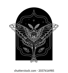 mystical illustration of a butterfly or moth. mysterious night in a secret garden. magic aesthetics, wildlife, retro vintage engraving style