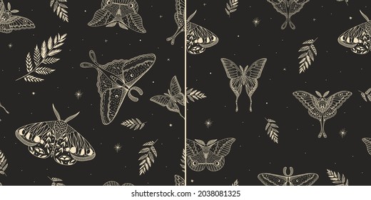 mystical illustration of a butterfly or moth. mysterious night in a secret garden. magic aesthetics, wildlife, retro vintage engraving style