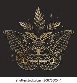 mystical illustration of a butterfly or moth. mysterious night in a secret garden. magic aesthetics, wildlife, retro vintage engraving style