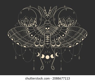 mystical illustration of a butterfly or moth. mysterious night in a secret garden. magic aesthetics, wildlife, retro vintage engraving style