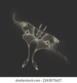 mystical illustration of a butterfly or moth. mysterious night in a secret garden. magic aesthetics, wildlife, retro vintage engraving style