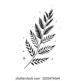 mystical illustration of wild forest fern wildlife