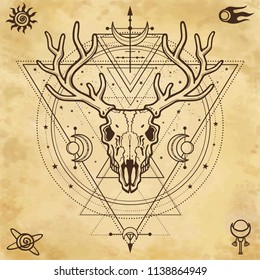 Mystical image of the  skull a horned deer, sacred geometry, symbols of the moon. Background - imitation of old paper. Esoteric, paganism, occultism.Vector illustration. Print, potser, t-shirt, card