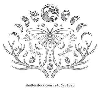 Mystical luna Moth with Moon phases. Vector illustration of a night butterfly with wings. Drawing of celestial magical composition for prints painted by black inks in linear style. Monochrome etching.