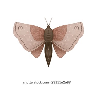 Ilustraciones místicas del vector luna luna luna, lindas moscas de dibujos animados. Mariposa nocturna celestial. Un insecto mágico sobre fondo blanco. Diseño para afiche boho, invitaciones, camisetas impresas, pegatinas.