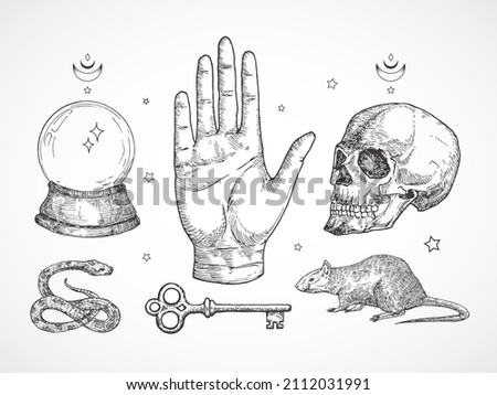 Mystical Magic Engraving Illustrations Set. Hand Drawn tattoo style sketches of crystall ball, snake, scull, key and stars. Palmistry and alchemy symbols collection