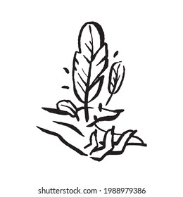 Mystical magic witch feather hand drawn illustration