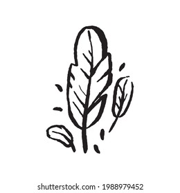 Mystical magic witch feather hand drawn illustration