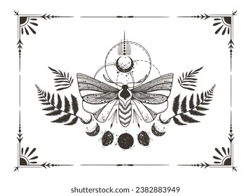 Mystical moon phases and night moth clipart in black color elegant frame, magic celestial insect and moon silhouettes in vector, unreal hand drawn butterfly, isolated design