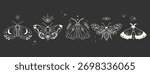 Mystical moth and butterfly set with celestial symbols, moons, botanical details, icons in minimal boho line art, for tattoo,print,spiritual branding, wall art, stickers, witchy merchandise. Vector
