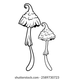 Mystical mushroom in doodle style, outline, silhouette. Whimsical, fantastic mushroom.