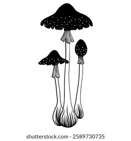 Mystical mushroom in doodle style, outline, silhouette. Whimsical, fantastic mushroom.