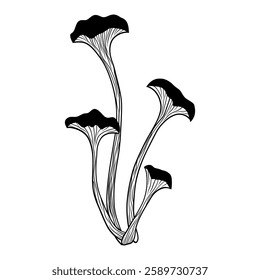 Mystical mushroom in doodle style, outline, silhouette. Whimsical, fantastic mushroom.