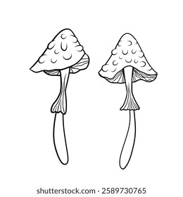 Mystical mushroom in doodle style, outline, silhouette. Whimsical, fantastic mushroom.