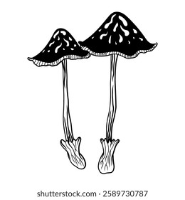 Mystical mushroom in doodle style, outline, silhouette. Whimsical, fantastic mushroom.