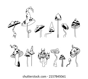 Mystical mushroom isolated clip art bundle, hand drawn poisonous amanita mushrooms or fly agaric fungus in black and white line, vector illustration set