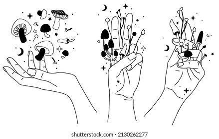 Mystical mushrooms. Hand drawn vector. Esoteric clipart