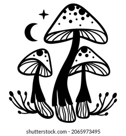 Mystical mushrooms isolated clipart, magic line celestial mushrooms, moon and stars. Black and white vector illustration.