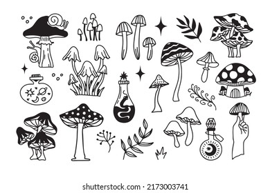 Mystical mushrooms isolated outline clipart set, magic line celestial mushroom, moon stars, witchy esoteric objects, floral mystical. Vector illustration