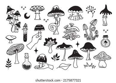 Mystical mushrooms isolated outline clipart set, magic line celestial mushroom, moon stars, witchy esoteric objects, floral mystical. Vector illustration