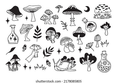 Mystical mushrooms isolated outline clipart set, magic line celestial mushroom, moon stars, witchy esoteric objects, floral mystical. Vector illustration