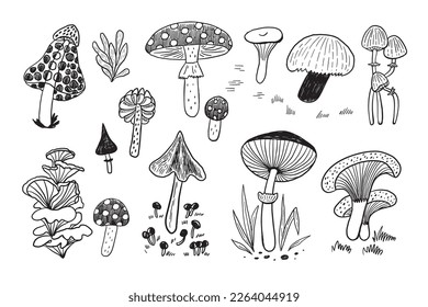 Mystical nature forest mushrooms vector illustrations set.