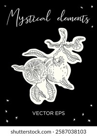 Mystical Orange Branch vector line art. Perfect for tattoos, prints, branding, and spiritual designs.