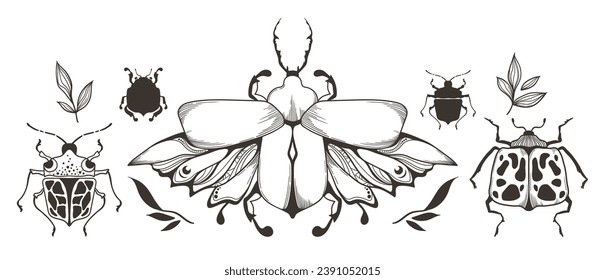 Mystical ornamental beetle or bug outline clipart bundle, magic black and white insects silhouettes in vector, hand drawn sketched entomological isolated elements