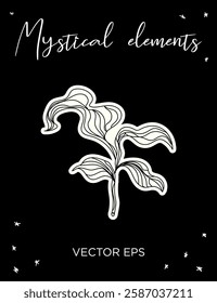 Mystical Plant Illustration Vector line art. Perfect for tattoos, prints, branding, and spiritual designs.