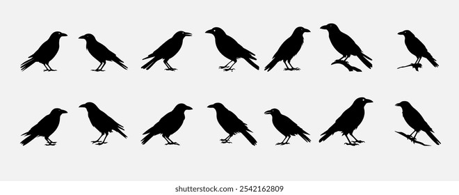 Mystical Raven Silhouette for Nature and Gothic Themes
