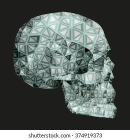the mystical skull of the person executed in graphics