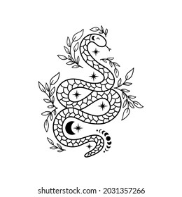 Mystical snake in line art style. Floral boho and astrology minimalist element. Magic spiritual snake symbol with stars, leaves and moon phases vector illustration.