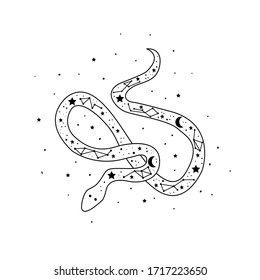 Mystical snake with moon and stars. Magic alchemy snake design cartoon style.  Mystic, alchemy, occult concept.