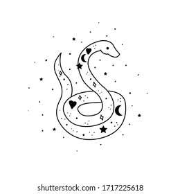 Mystical snake with moon and stars. Magic alchemy snake design cartoon style.  Mystic, alchemy, occult concept.