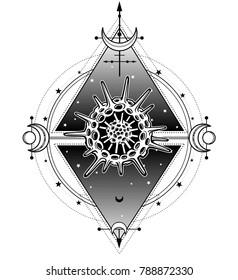Mystical symbols of origin of life radiolaria. Sacred geometry.  Alchemy, magic, esoterics, occultism. Vector illustration isolated on a white background. Print, poster, t-shirt, card.