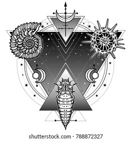 Mystical symbols of origin of life:  shell,  radiolaria, larva. Sacred geometry.  Alchemy, magic, esoterics, occultism. Vector illustration isolated on a white background. Print, poster, t-shirt, card