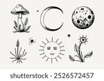 Mystical vector engraved set with stars, sun, moon, month, spider, fly agaric, magical plants. Hand drawn esoterica isolated illustration in boho style. Design for print, card, paper, logo, tattoo