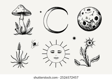 Vetor místico gravado conjunto com estrelas, sol, lua, mês, aranha, mosca agárica, plantas mágicas. Ilustração isolada esotérica desenhada à mão em estilo boho. Design para impressão, cartão, papel, logotipo, tatuagem