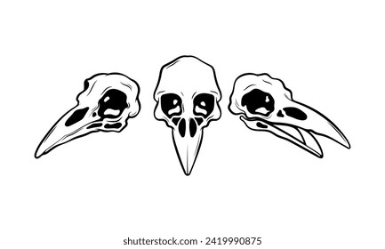 Ilustración mística vectorial. Calavera de cuervo sobre un fondo blanco. Calavera de pájaro dibujada a mano, sketch de líneas. Estilo gótico. Dibujo a mano alzada al estilo Boho. Brujería, mágico atributo vudú para Halloween.