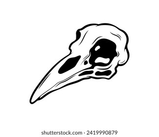 Mystical vector illustration. Crow skull on a white background. Hand drawn bird skull, line sketch. Gothic style. Freehand drawing in Boho style. Witchcraft, magical voodoo attribute for Halloween.