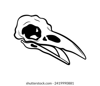 Mystical vector illustration. Crow skull on a white background. Hand drawn bird skull, line sketch. Gothic style. Freehand drawing in Boho style. Witchcraft, magical voodoo attribute for Halloween.